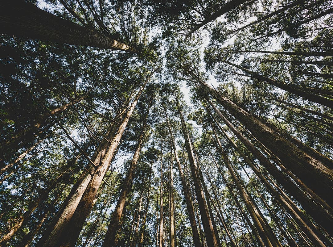 Premium Collection by Credemvita