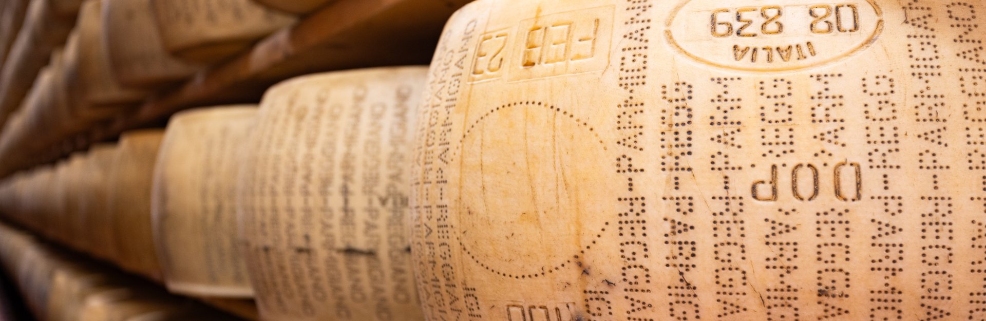 gallery-MGT-desktop - 1